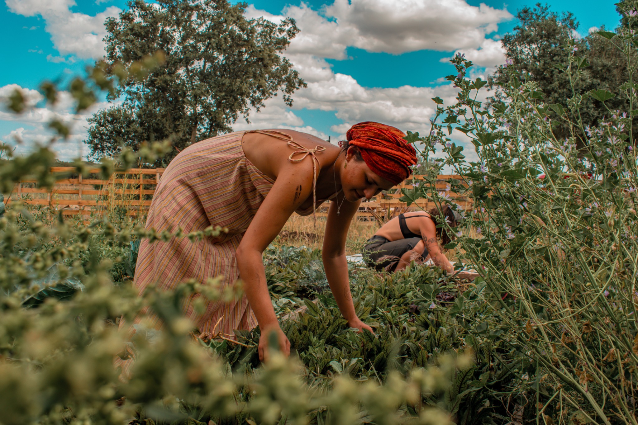 PurposeFlow collaborators tending the garden on the land in Portugal